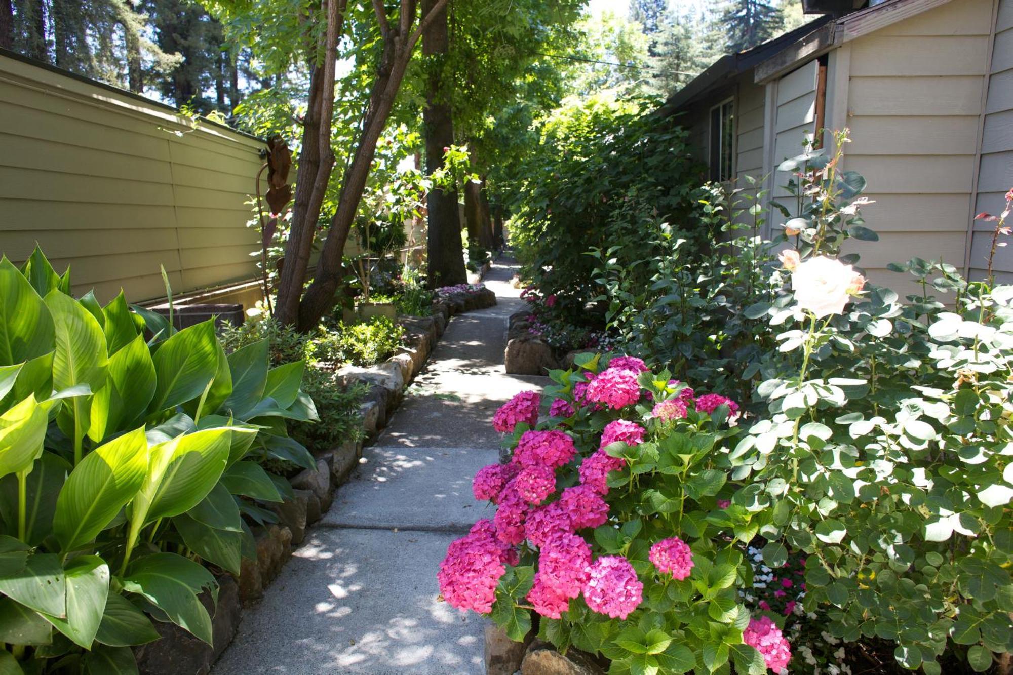 On River Road Guerneville